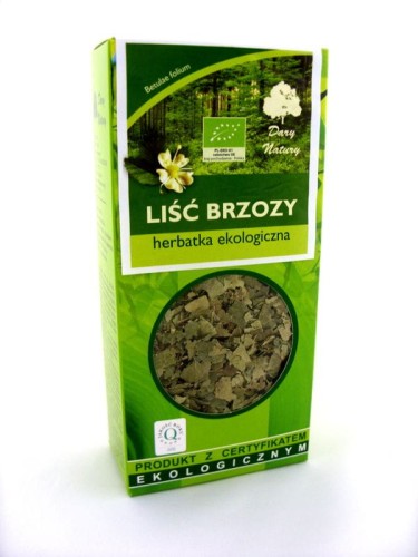 brzoza liść ekologiczna