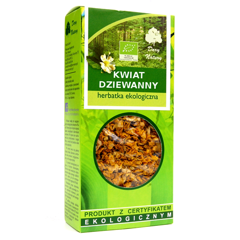 dziewanna kwiat.png