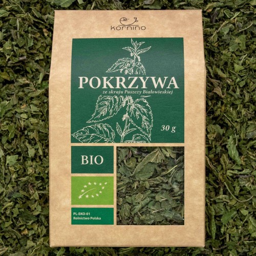 pokrzywa kornino.jpg
