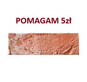 pomagam 5 zł.jpg