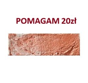 pomagam 20 zł.jpg
