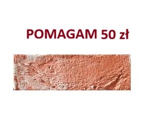pomagam 50 zł.jpg